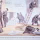 Image: Robert Seymour Robert, 1798-1836 via The National Library of Medicine.
